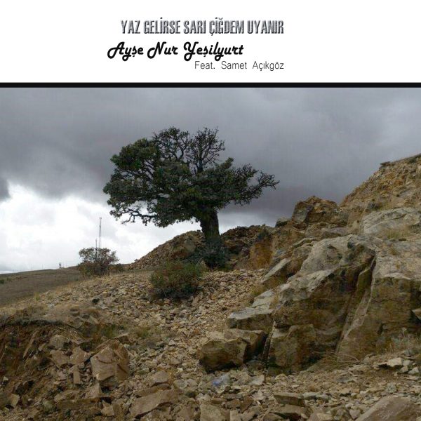 Ayşe Nur Yeşilyurt Feat. Samet Açıkgöz - Yaz Gelirse Sarı Çiğdem Uyanır
