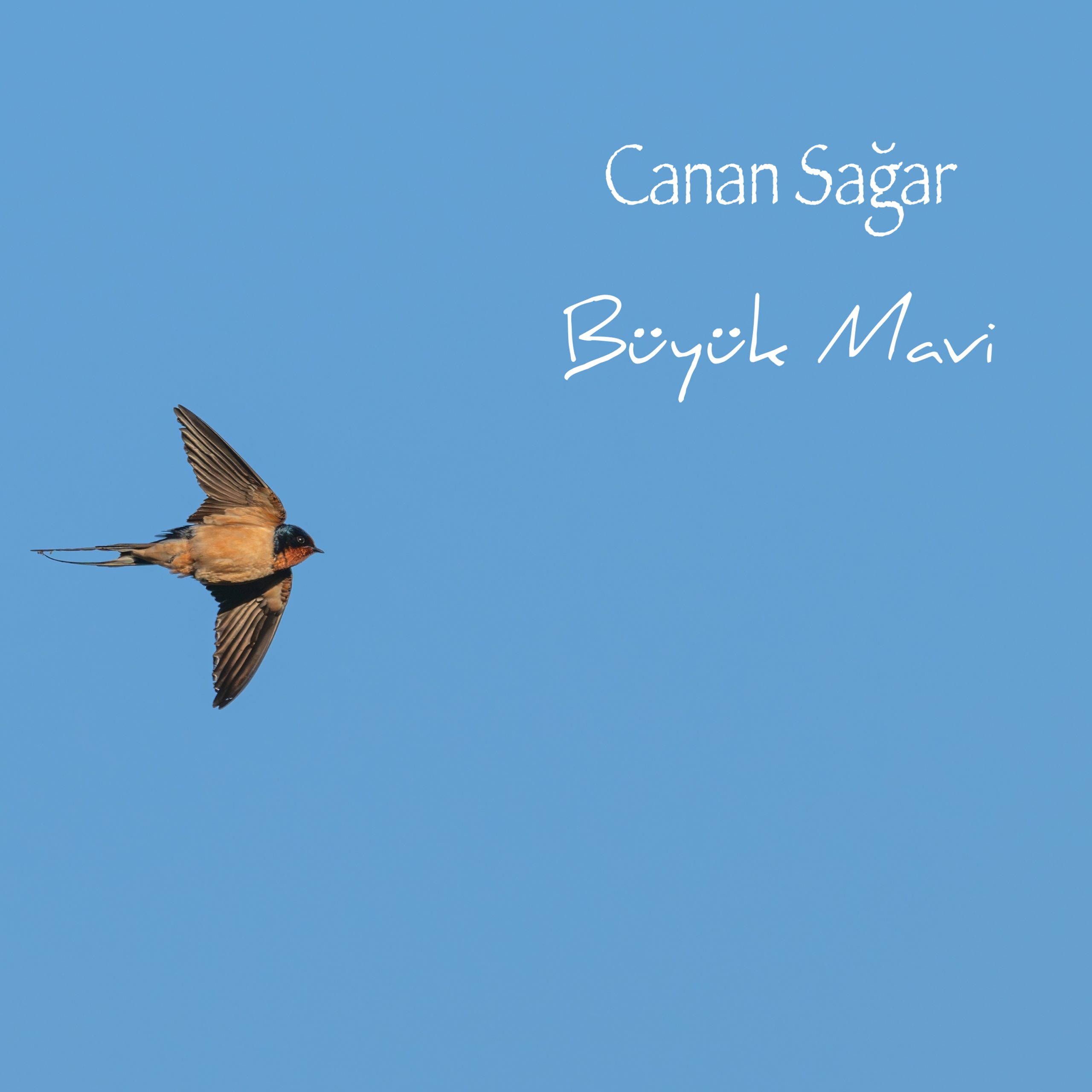 Canan Sağar - Büyük Mavi