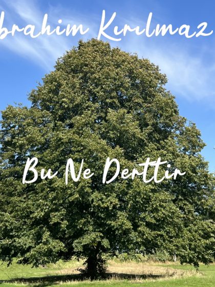 İbrahim Kırılmaz - Bu Ne Derttir Acep
